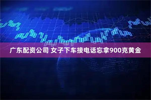 广东配资公司 女子下车接电话忘拿900克黄金
